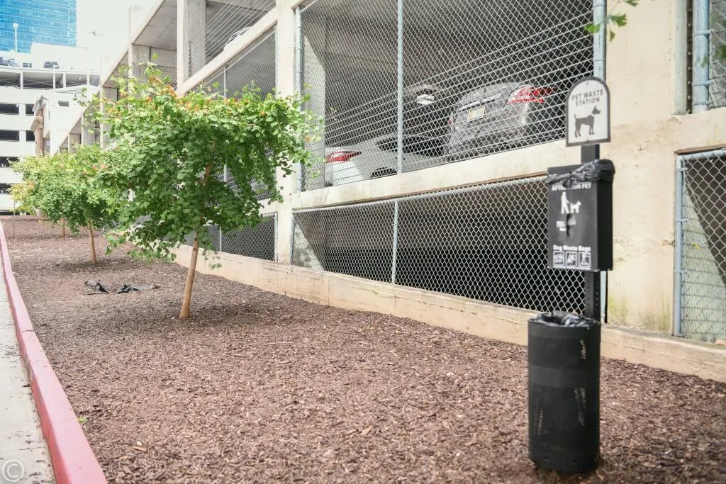 923 Peachtree Street Ne Unit 932, Atlanta, Georgia 30309, 1 Bedroom Bedrooms, ,1 BathroomBathrooms,Residential,For Sale,923 Peachtree Street Ne Unit 932,7674217 923 Peachtree Street Ne Unit 932, Atlanta, Georgia 30309, 1 Bedroom Bedrooms, ,1 BathroomBathrooms,Residential,For Sale,923 Peachtree Street Ne Unit 932,7674217