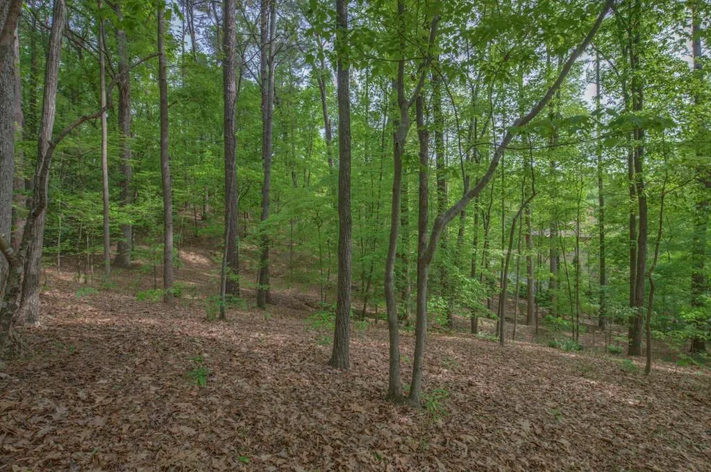 1113 Crest Valley Drive, Sandy Springs, Georgia 30327, ,Land,Sold,1113 Crest Valley Drive,5612769
