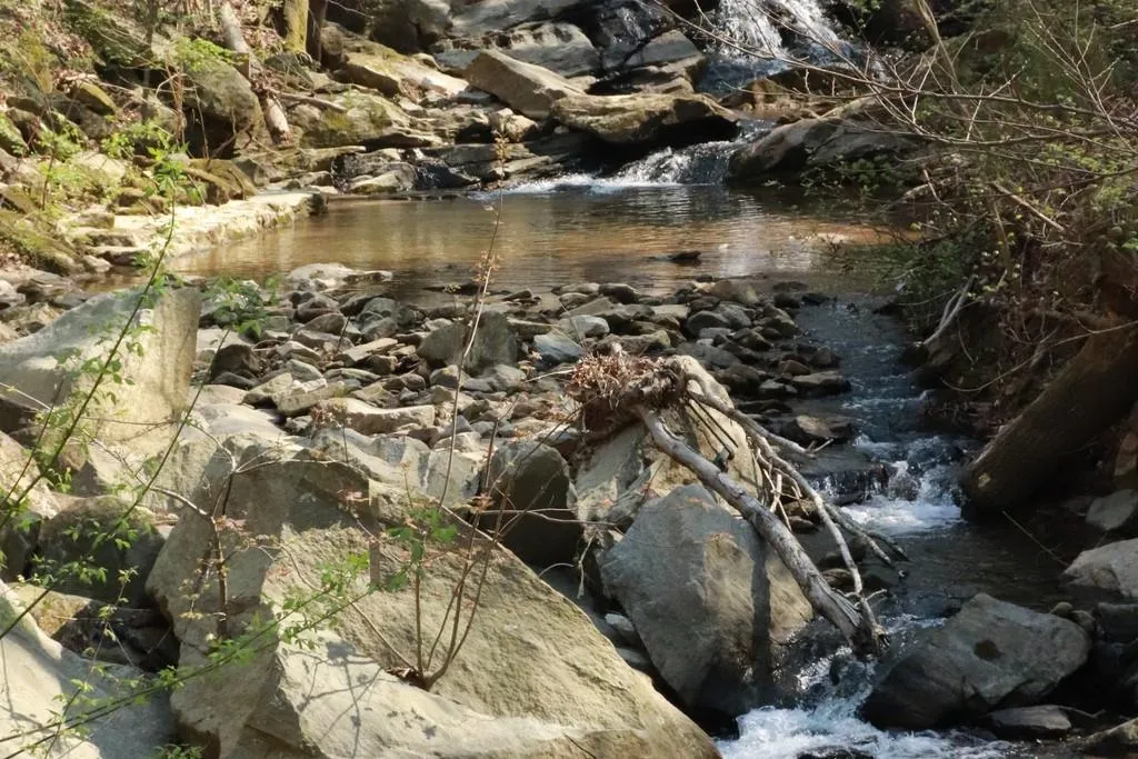 1106 Santa Fe Parkway Unit 1106, Sandy Springs, Georgia 30350, 1 Bedroom Bedrooms, ,1 BathroomBathrooms,Residential,Sold,1106 Santa Fe Parkway Unit 1106,6860168