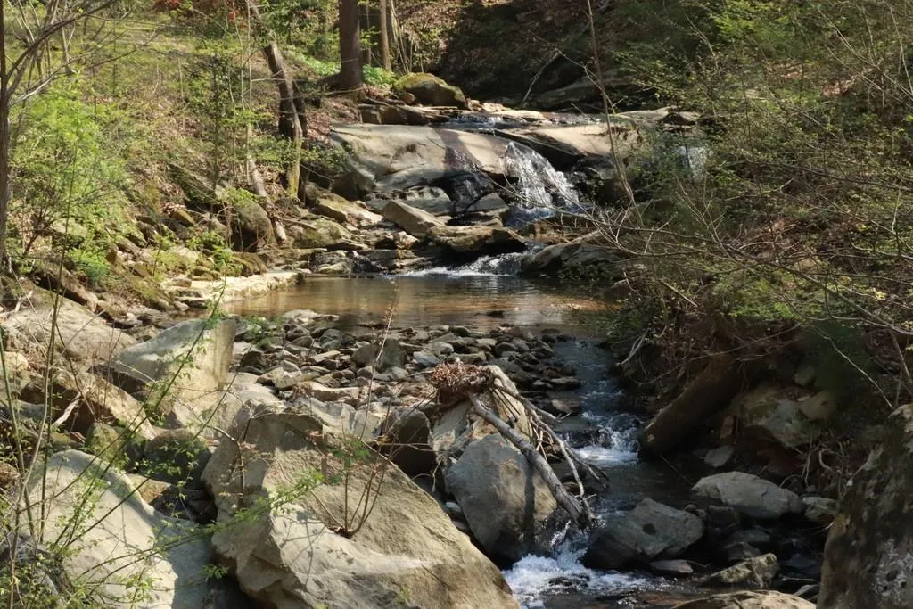 1106 Santa Fe Parkway Unit 1106, Sandy Springs, Georgia 30350, 1 Bedroom Bedrooms, ,1 BathroomBathrooms,Residential,Sold,1106 Santa Fe Parkway Unit 1106,6860168