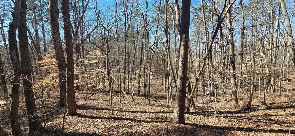 Tract Friendship Trail, Talking Rock, Georgia 30175
