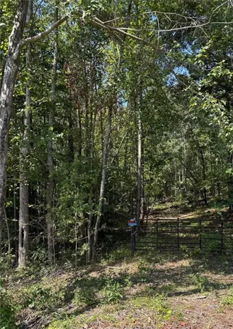 0 Ga-hwy 92 & 166, Douglasville, Georgia 30135