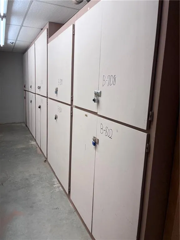 Basement Stortage Closet