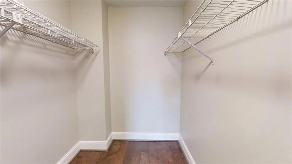 Spacious closet featuring dark wood-type flooring