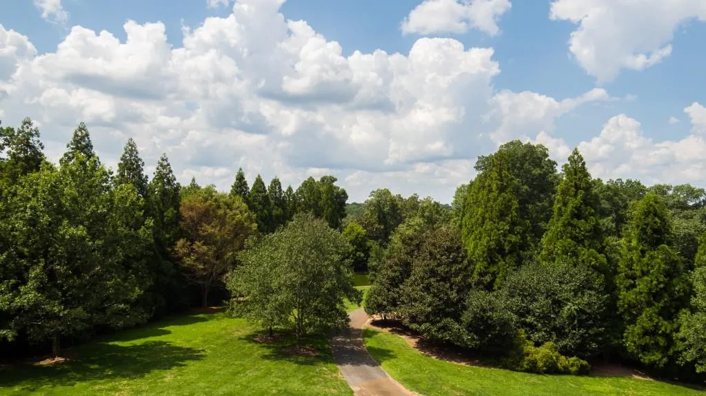 2100 West Wesley Road, Atlanta, Georgia 30327, 3 Bedrooms Bedrooms, ,3 BathroomsBathrooms,Land,For Sale,2100 West Wesley Road,7552397