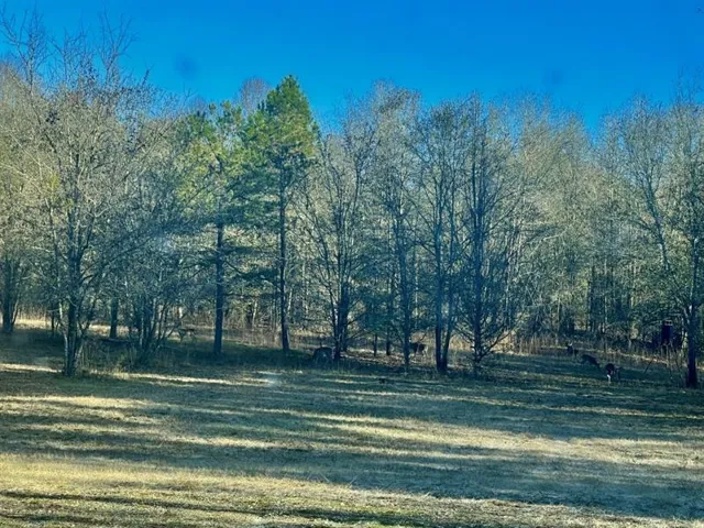 1072 Ford Road, Jefferson, Georgia 30549