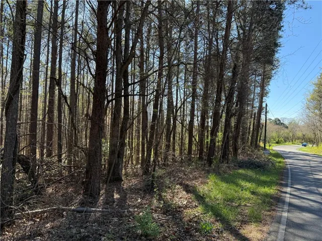 00 Henderson Mountain Road, Fairmount, Georgia 30139