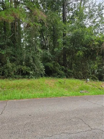 Natural landscape lot with mature trees and dense foliage