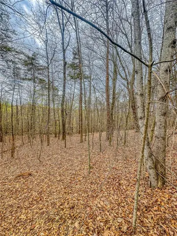 141 Green Meadows, Dahlonega, Georgia 30533