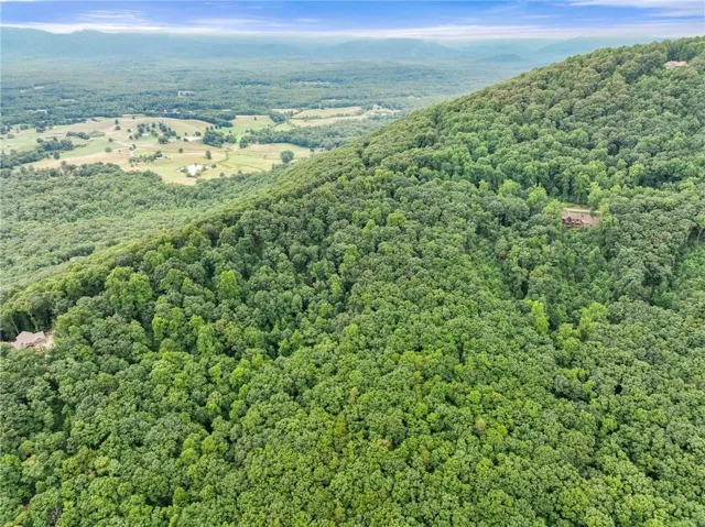 Lush, expansive wooded terrain with mountain and valley scenery