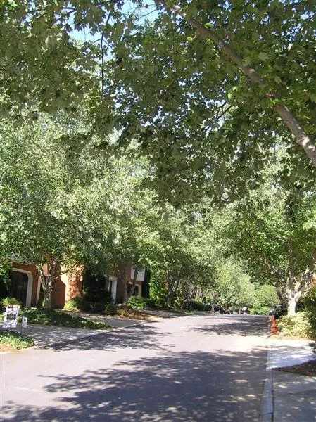 3873 Roswell Road Ne Unit 11, Atlanta, Georgia 30342, 4 Bedrooms Bedrooms, ,3 BathroomsBathrooms,Residential,Sold,3873 Roswell Road Ne Unit 11,5585211