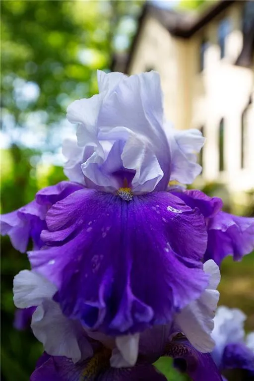 Lush landscaping and vibrant plantings provide a picturesque, ever-changing backdrop throughout the year.