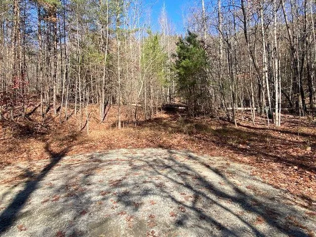 8 Cameron Point, Cleveland, Georgia 30528