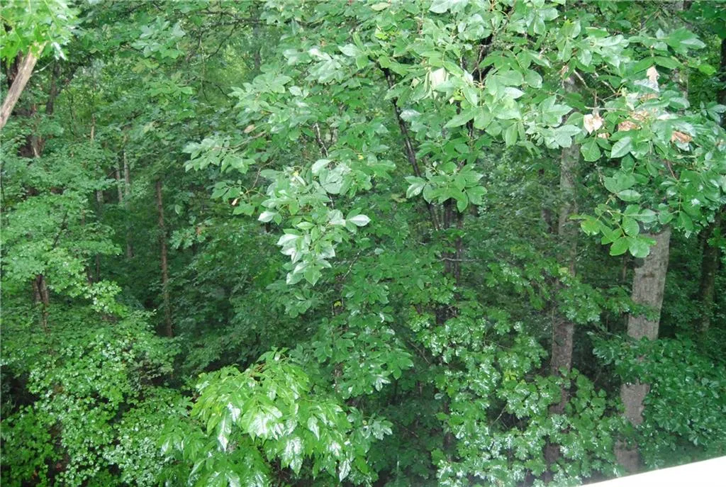 1409 Vicksburg Place, Sandy Springs, Georgia 30350, 2 Bedrooms Bedrooms, ,2 BathroomsBathrooms,Residential,Sold,1409 Vicksburg Place,5879819