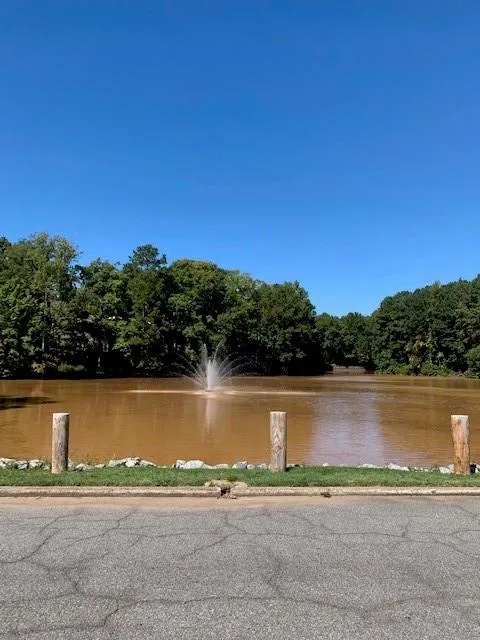 75 Dunwoody Springs Drive, Atlanta, Georgia 30328, 2 Bedrooms Bedrooms, ,2 BathroomsBathrooms,Residential,Sold,75 Dunwoody Springs Drive,6795136