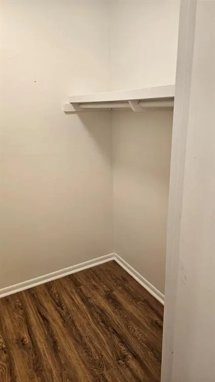 Spacious closet with dark wood-style flooring