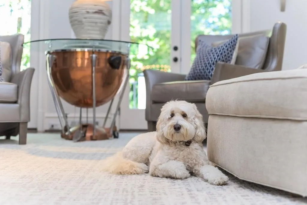 825 Marseilles Drive, Atlanta, Georgia 30327, 5 Bedrooms Bedrooms, ,5 BathroomsBathrooms,Residential,Sold,825 Marseilles Drive,7471245