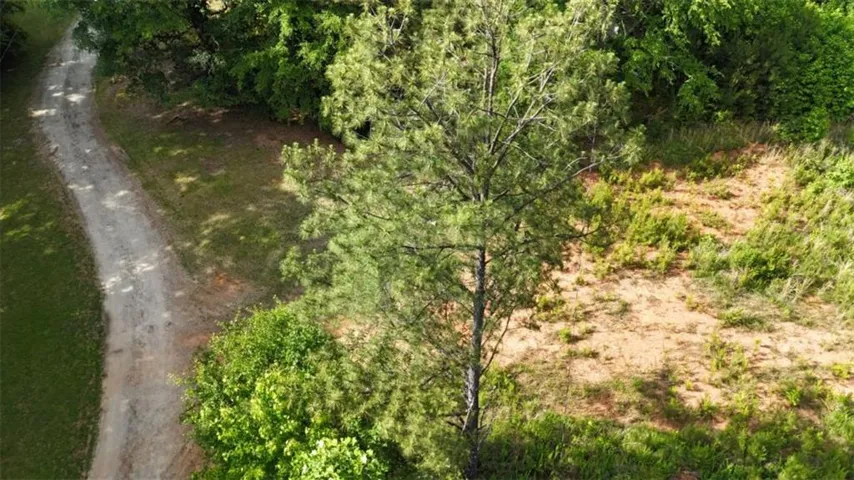1170