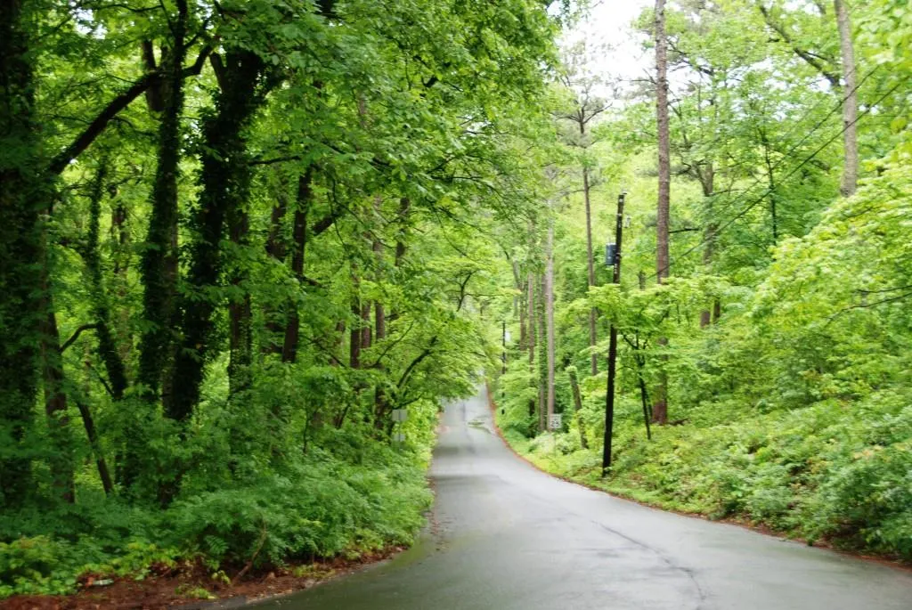 5020 Riverview Road, Sandy Springs, Georgia 30327, 5 Bedrooms Bedrooms, ,5 BathroomsBathrooms,Residential,Sold,5020 Riverview Road,5528126