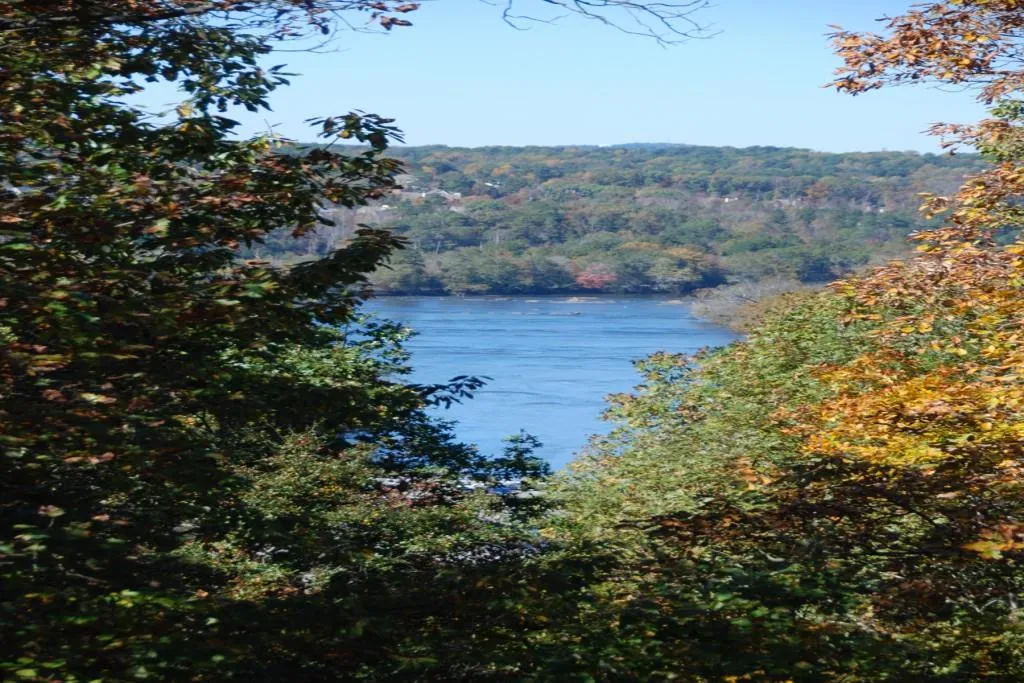 5020 Riverview Road, Sandy Springs, Georgia 30327, 5 Bedrooms Bedrooms, ,5 BathroomsBathrooms,Residential,Sold,5020 Riverview Road,5528126