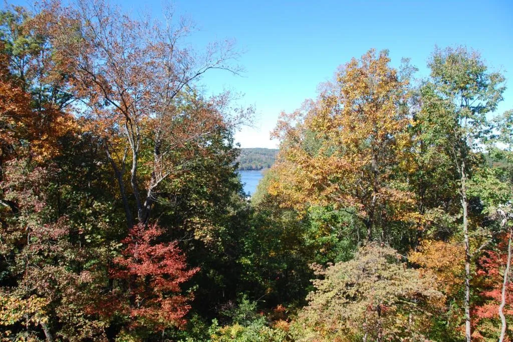 5020 Riverview Road, Sandy Springs, Georgia 30327, 5 Bedrooms Bedrooms, ,5 BathroomsBathrooms,Residential,Sold,5020 Riverview Road,5528126