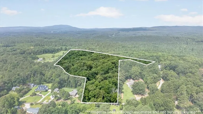 Expansive wooded acreage featuring a natural landscape and surrounding properties