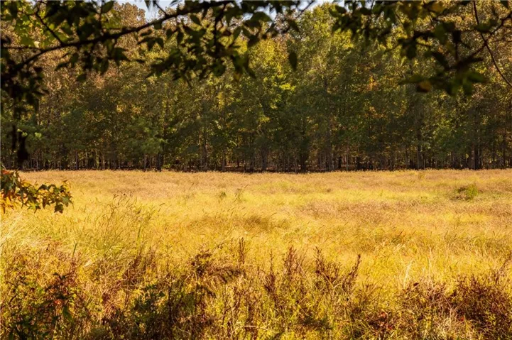 0 Livingston Rd Sw, Rome, Georgia 30161