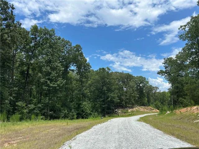 0 Hamilton Road, Chattahoochee Hills, Georgia 30268