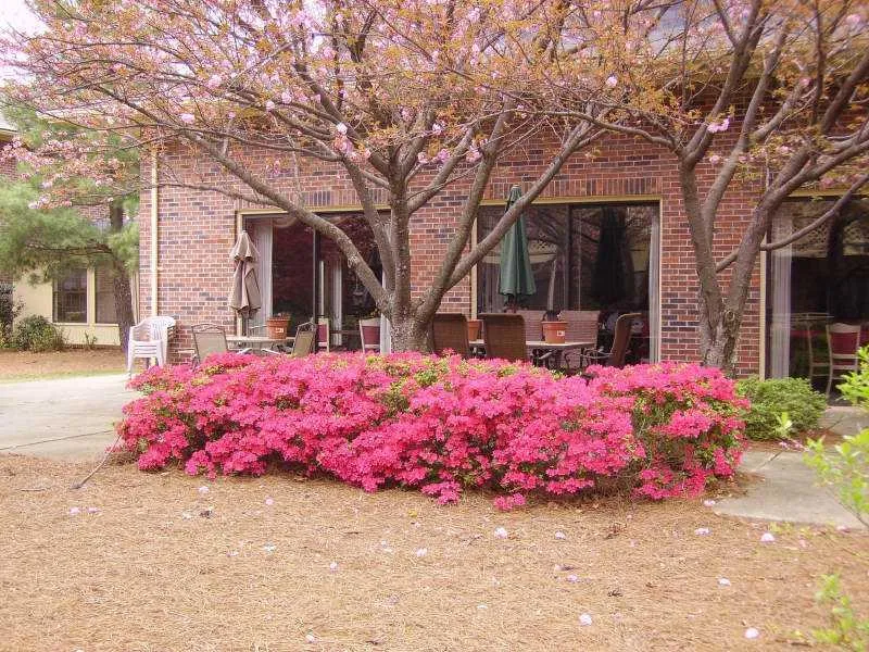 540 Johnson Ferry Road Ne Unit A108, Attapulgus, Georgia 30328, 2 Bedrooms Bedrooms, ,2 BathroomsBathrooms,Residential,Sold,540 Johnson Ferry Road Ne Unit A108,3906995