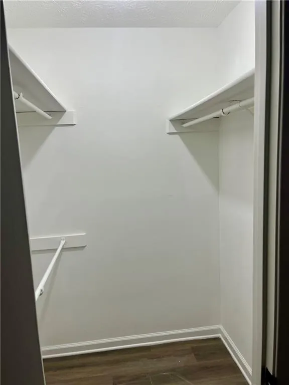 Spacious closet with dark wood-style flooring