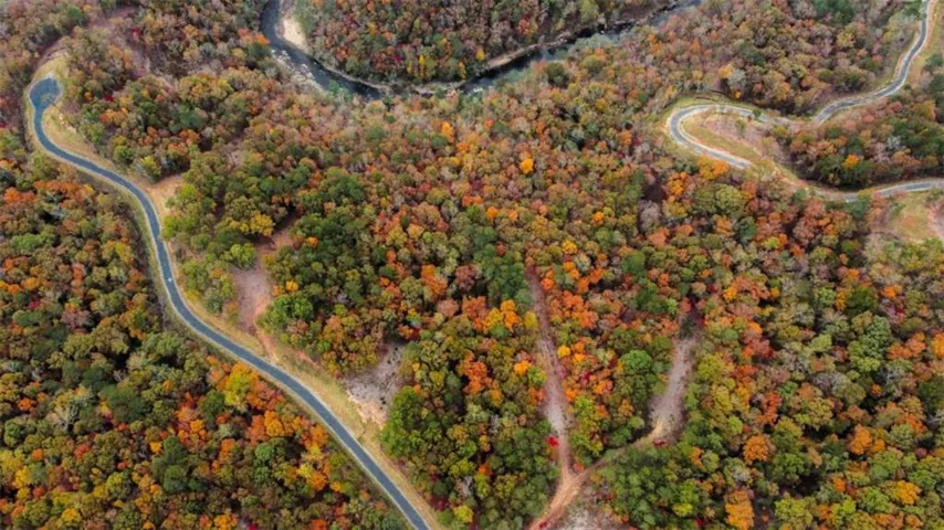 1170