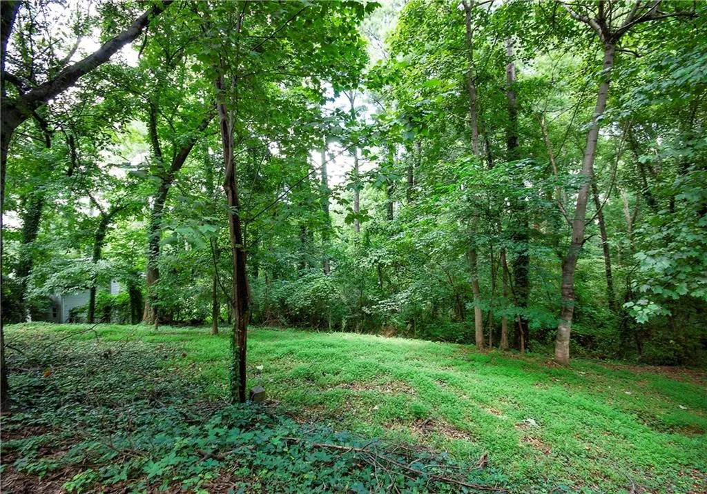 View of yard featuring a wooded view