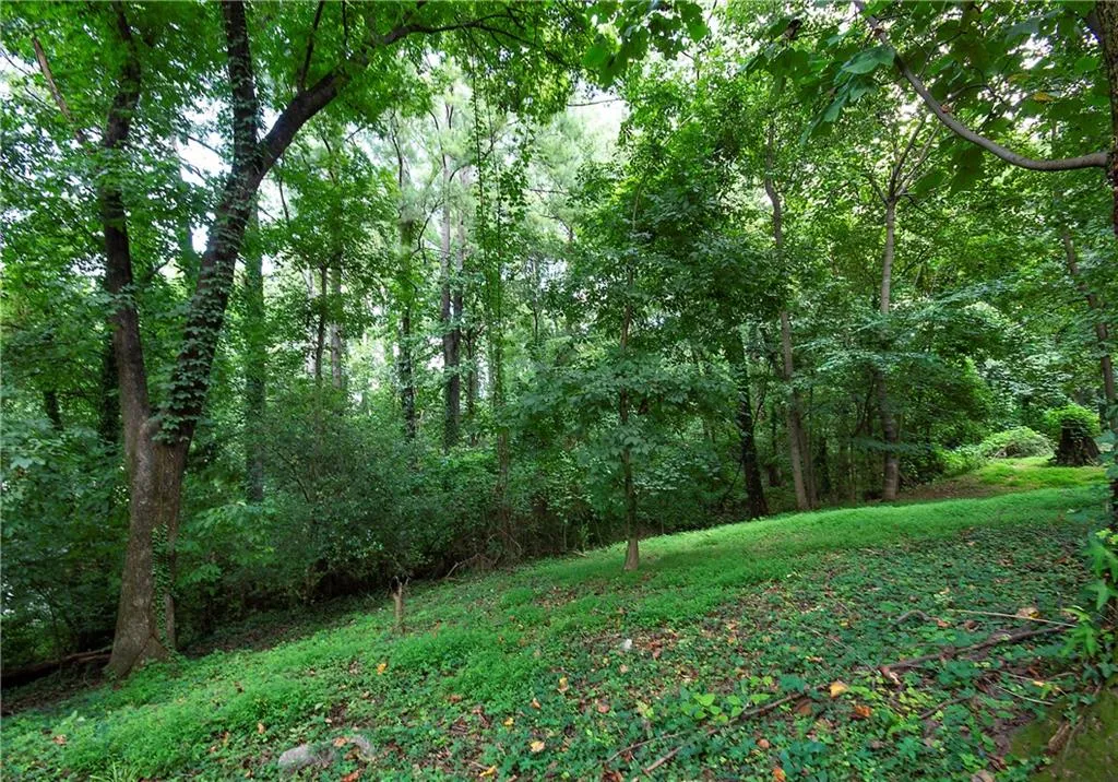 View of wooded area