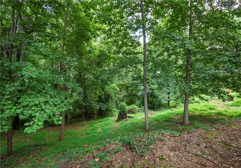 View of nature