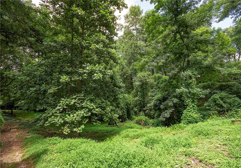 View of woods