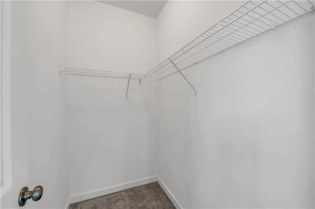 Spacious closet featuring carpet flooring