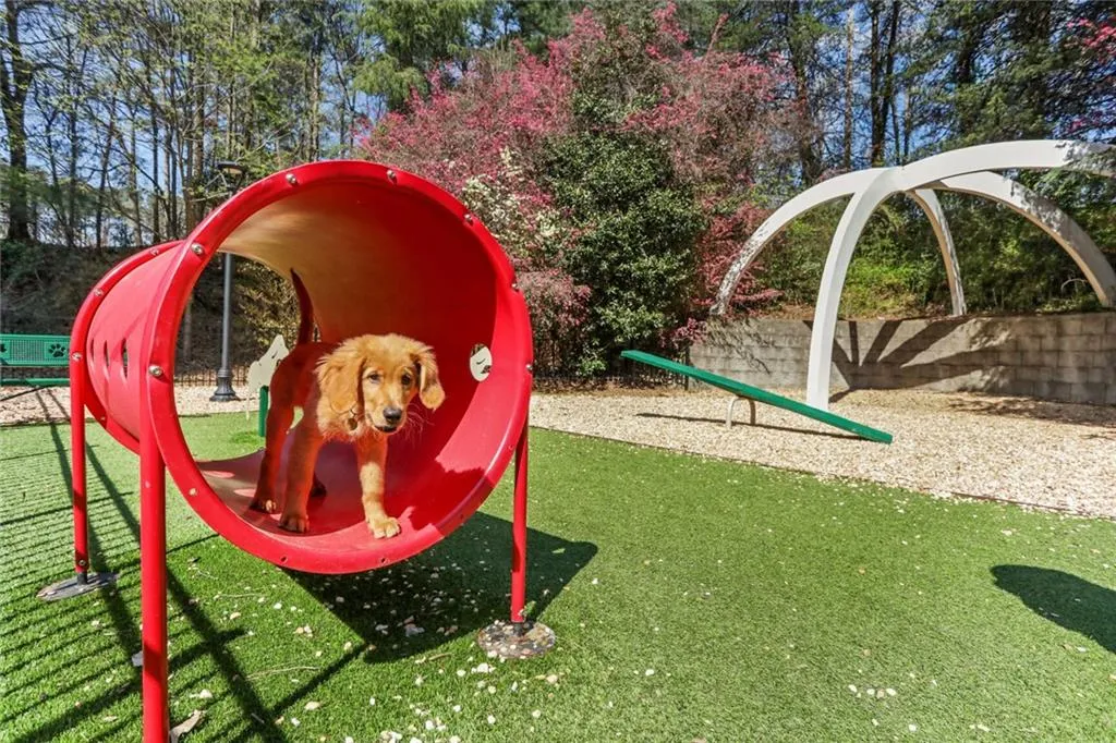 795 Hammond Drive Unit 1808, Sandy Springs, Georgia 30328, 1 Bedroom Bedrooms, ,1 BathroomBathrooms,Residential,Sold,795 Hammond Drive Unit 1808,7183582 795 Hammond Drive Unit 1808, Sandy Springs, Georgia 30328, 1 Bedroom Bedrooms, ,1 BathroomBathrooms,Residential,Sold,795 Hammond Drive Unit 1808,7183582