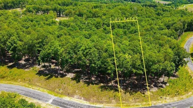 1.09-acre parcel featuring dense tree coverage