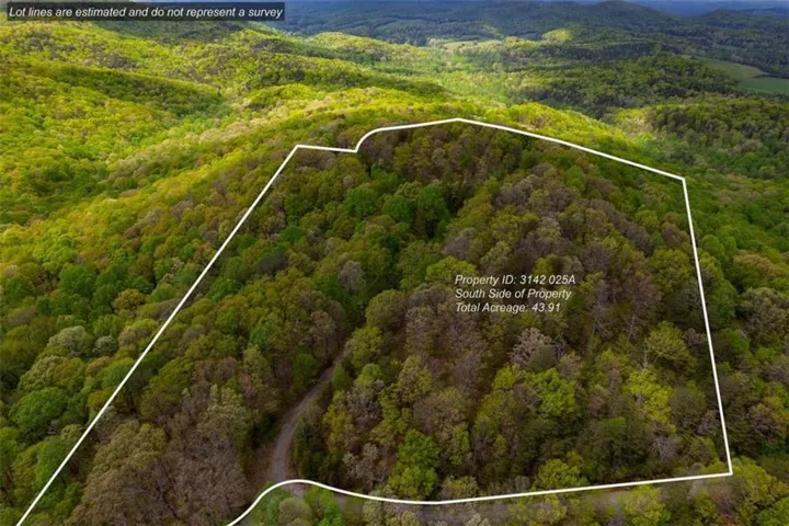 43.91 Old Burnt Mountain, Ellijay, Georgia 30540