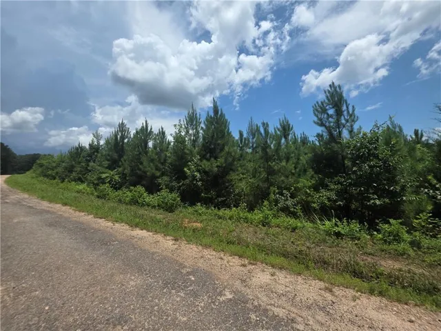 0 Wehunt Road, Covington, Georgia 30016