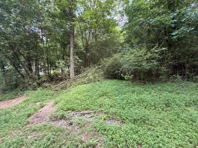 280 Nixon Road, Summerville, Georgia 30747