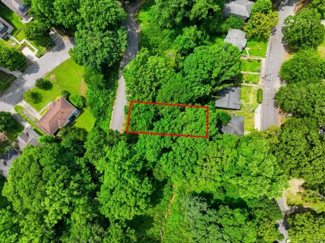 0 Spring Lane Nw, Atlanta, Georgia 30314