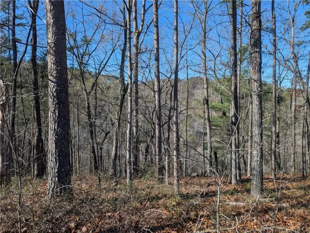 1400 Foxhound Trail Ne, Ranger, Georgia 30734