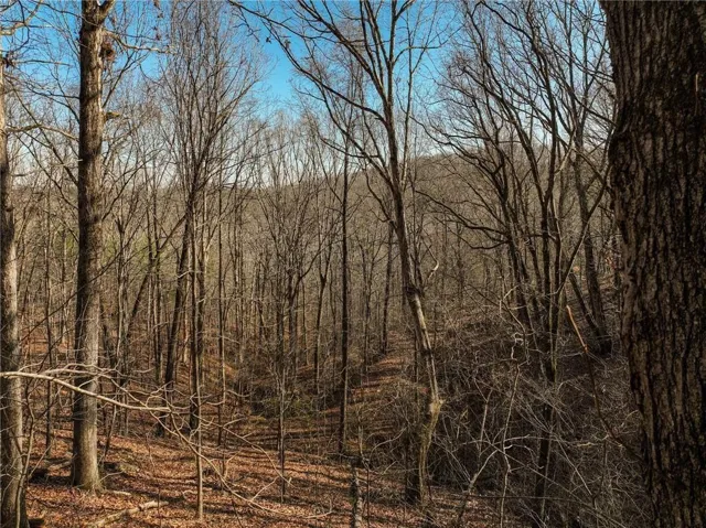 Wooded land featuring mature trees and natural ground cover