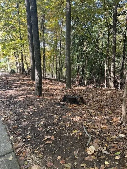 18 W Wesley Ridge, Atlanta, Georgia 30327, ,Land,For Sale,18 W Wesley Ridge,7677587