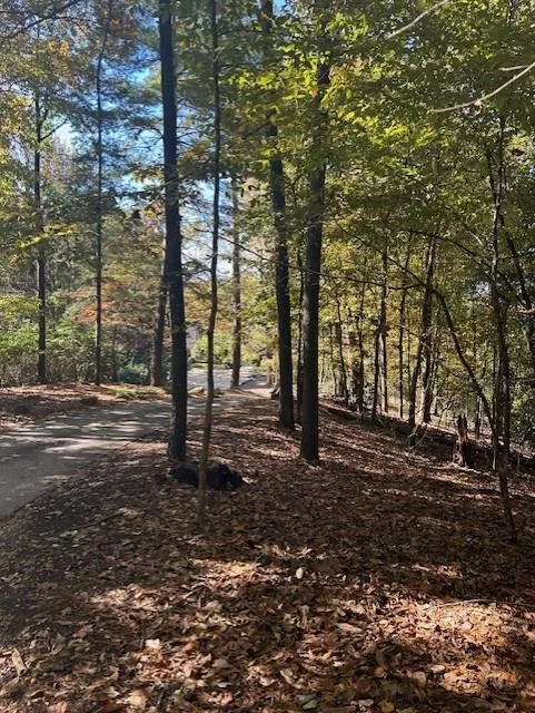 18 W Wesley Ridge, Atlanta, Georgia 30327, ,Land,For Sale,18 W Wesley Ridge,7677587