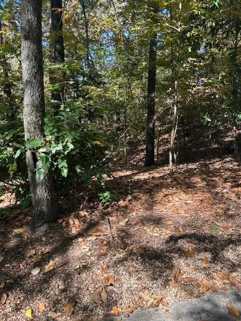 18 W Wesley Ridge, Atlanta, Georgia 30327, ,Land,For Sale,18 W Wesley Ridge,7677587