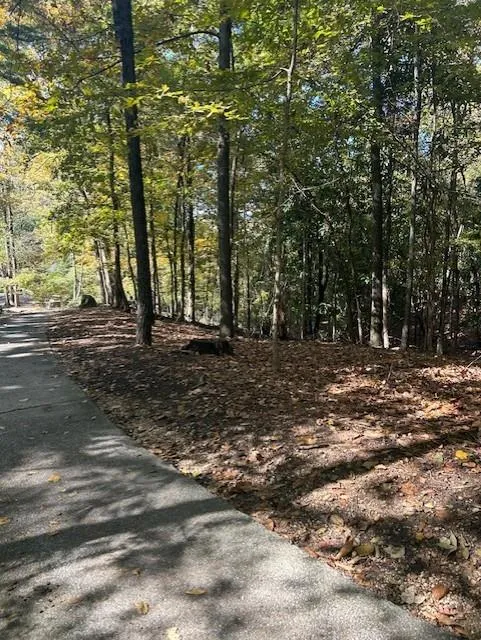 18 W Wesley Ridge, Atlanta, Georgia 30327, ,Land,For Sale,18 W Wesley Ridge,7677587