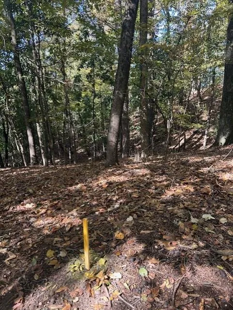 18 W Wesley Ridge, Atlanta, Georgia 30327, ,Land,For Sale,18 W Wesley Ridge,7677587