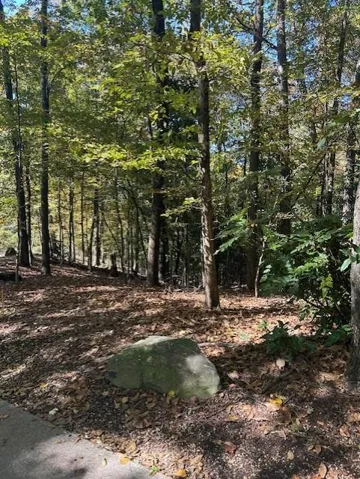 18 W Wesley Ridge, Atlanta, Georgia 30327